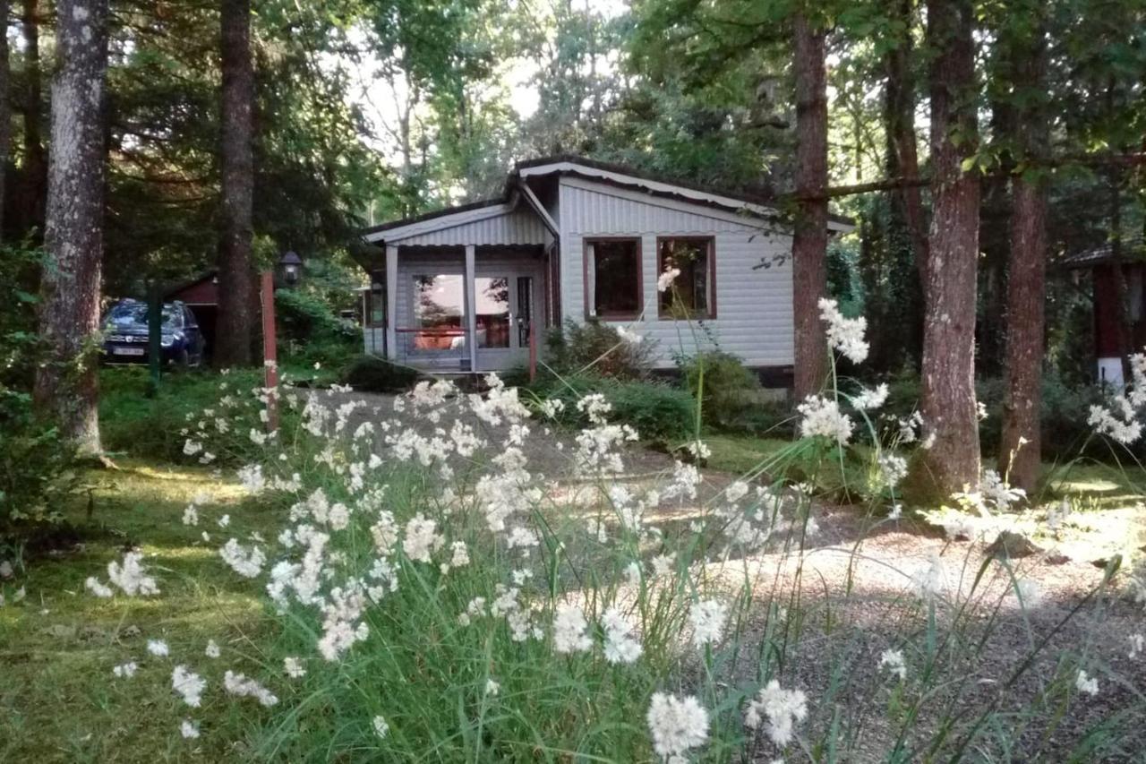 Chalet Siësta is rust&natuur in Barvaux Durbuy Extérieur photo